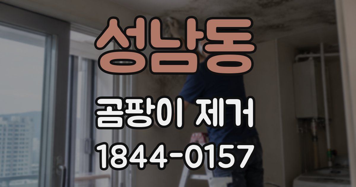 성남동 곰팡이 제거