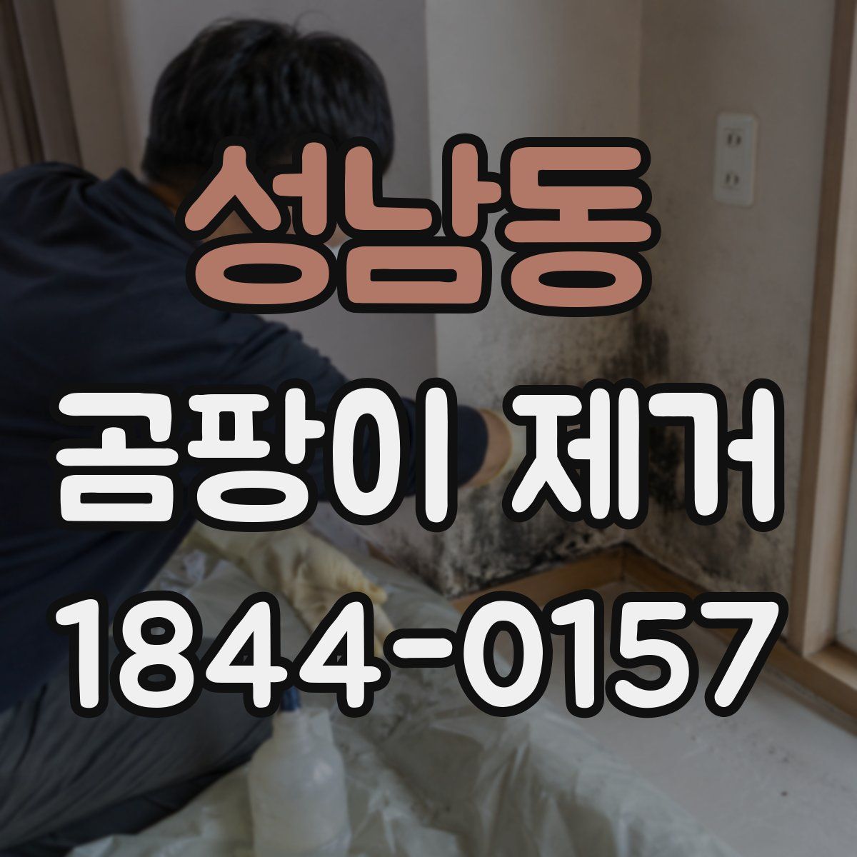 성남동 곰팡이 제거