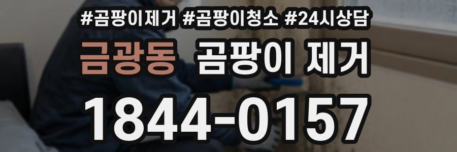 금광동 곰팡이 제거