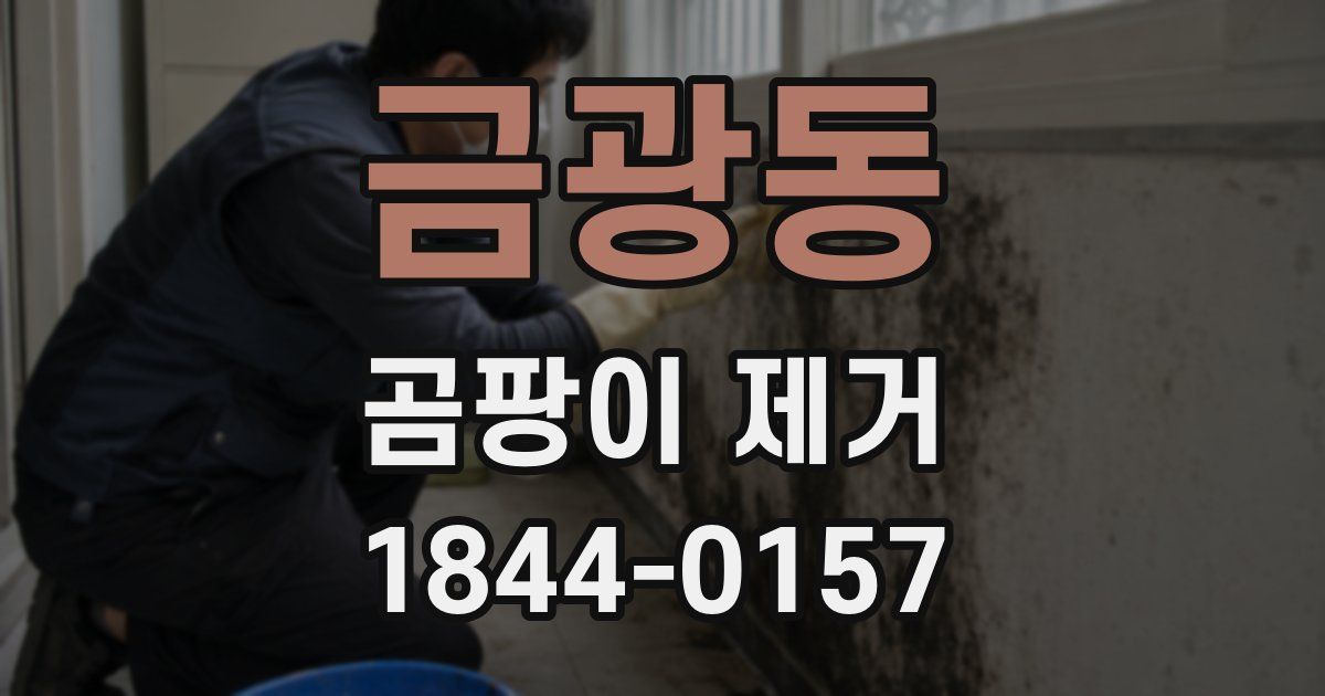금광동 곰팡이 제거