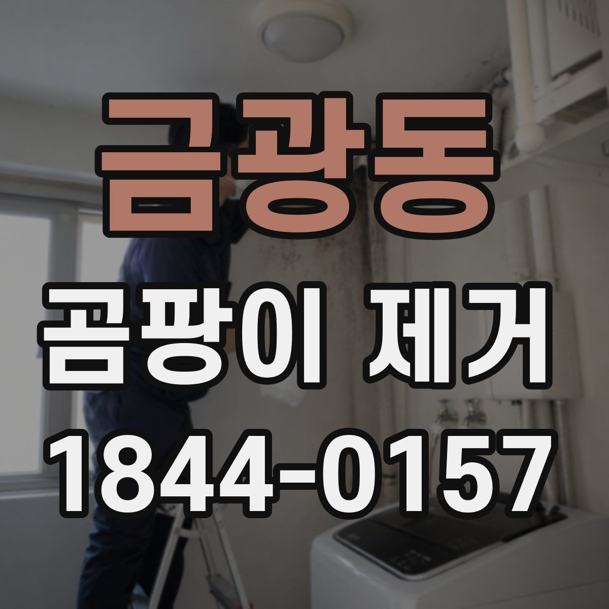 금광동 곰팡이 제거