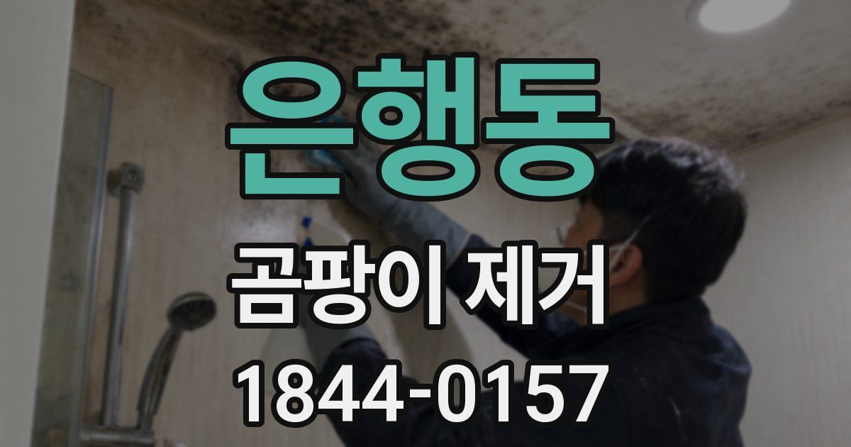 은행동 곰팡이 제거