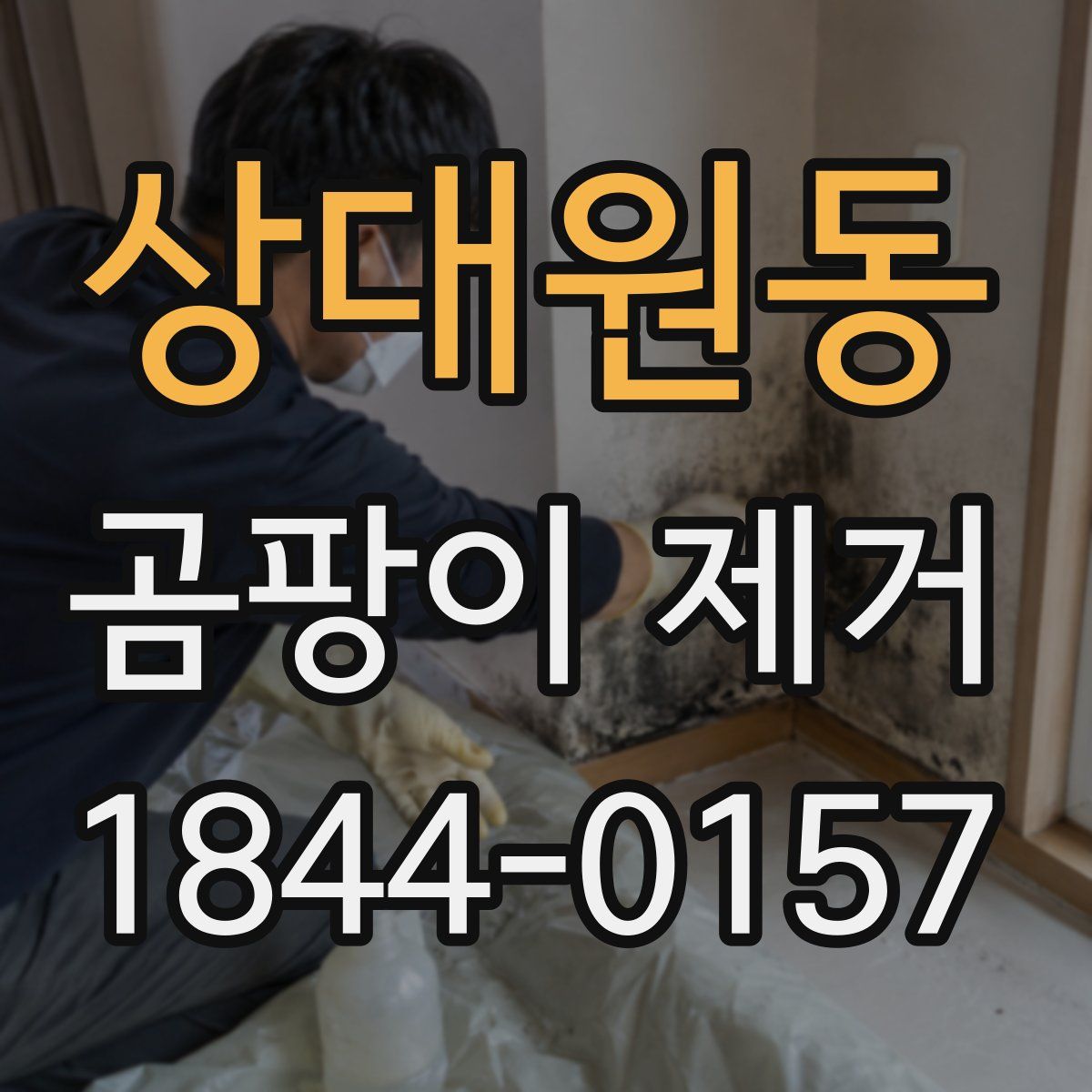 상대원동 곰팡이 제거