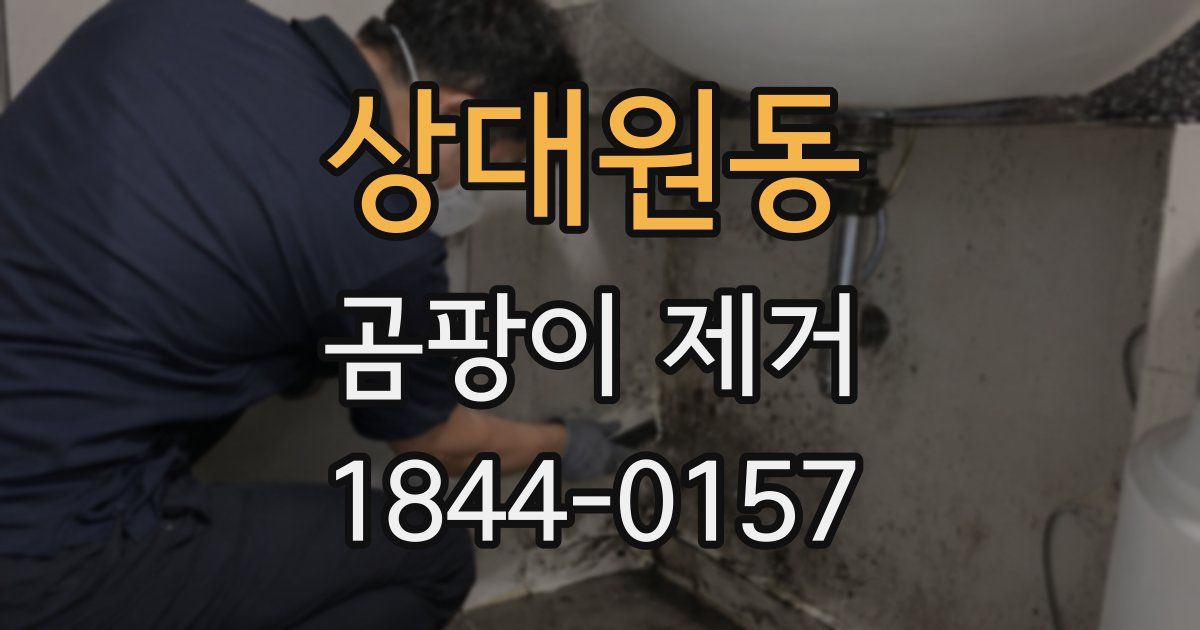 상대원동 곰팡이 제거