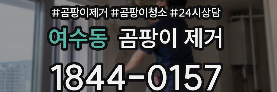 여수동 곰팡이 제거