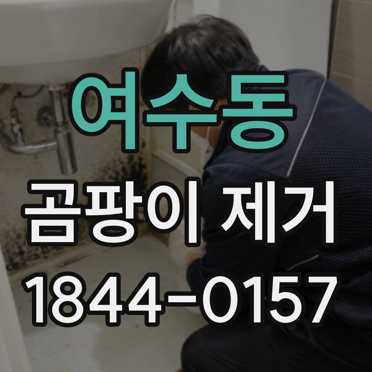여수동 곰팡이 제거