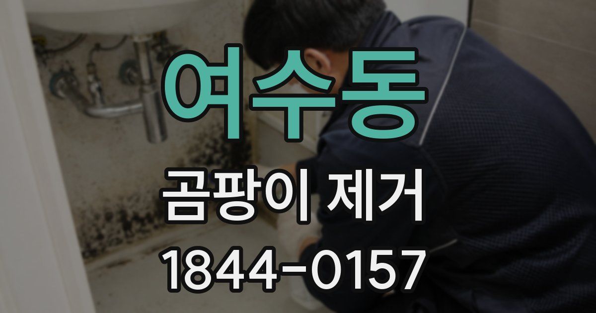 여수동 곰팡이 제거