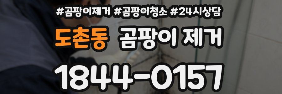 도촌동 곰팡이 제거