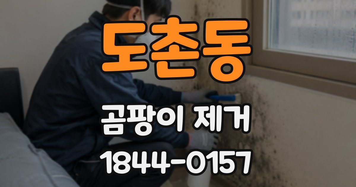 도촌동 곰팡이 제거