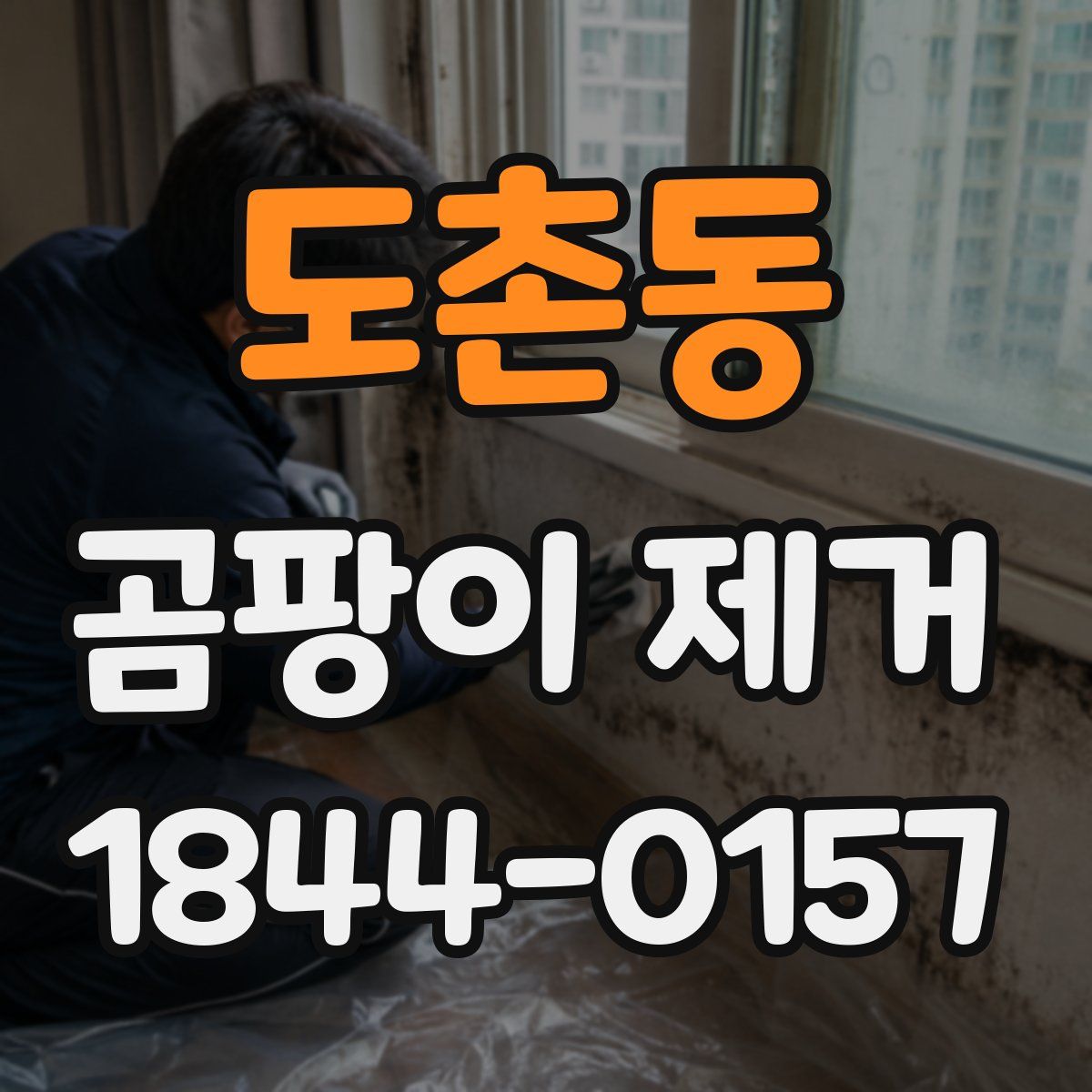 도촌동 곰팡이 제거