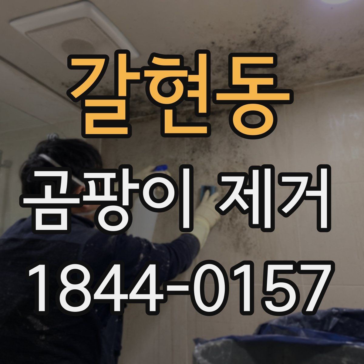 갈현동 곰팡이 제거 욕실 실리콘과 타일 틈새 살피기