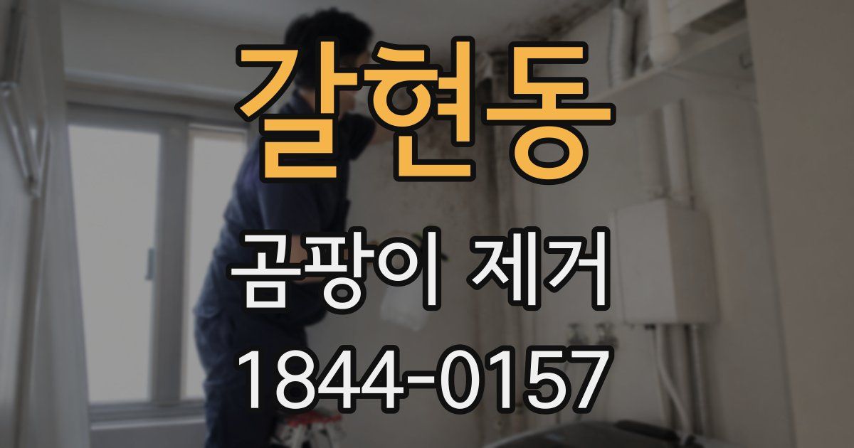 갈현동 곰팡이 제거
