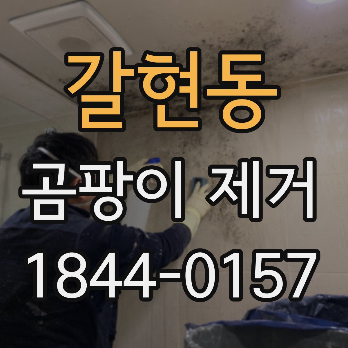 갈현동 곰팡이 제거