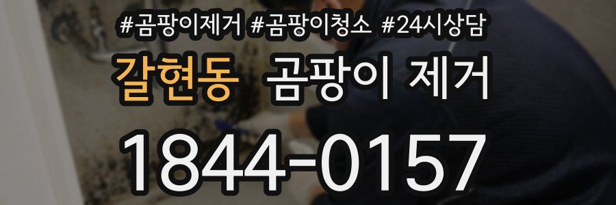 갈현동 곰팡이 제거