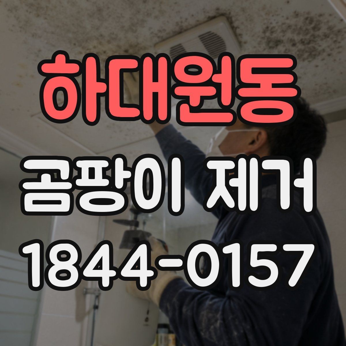 하대원동 곰팡이 제거 전문 장비가 필요한 넓은 번짐 사례
