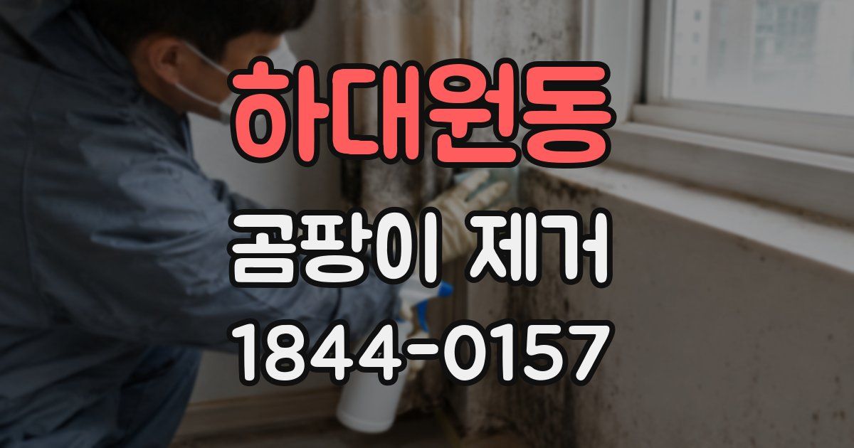하대원동 곰팡이 제거