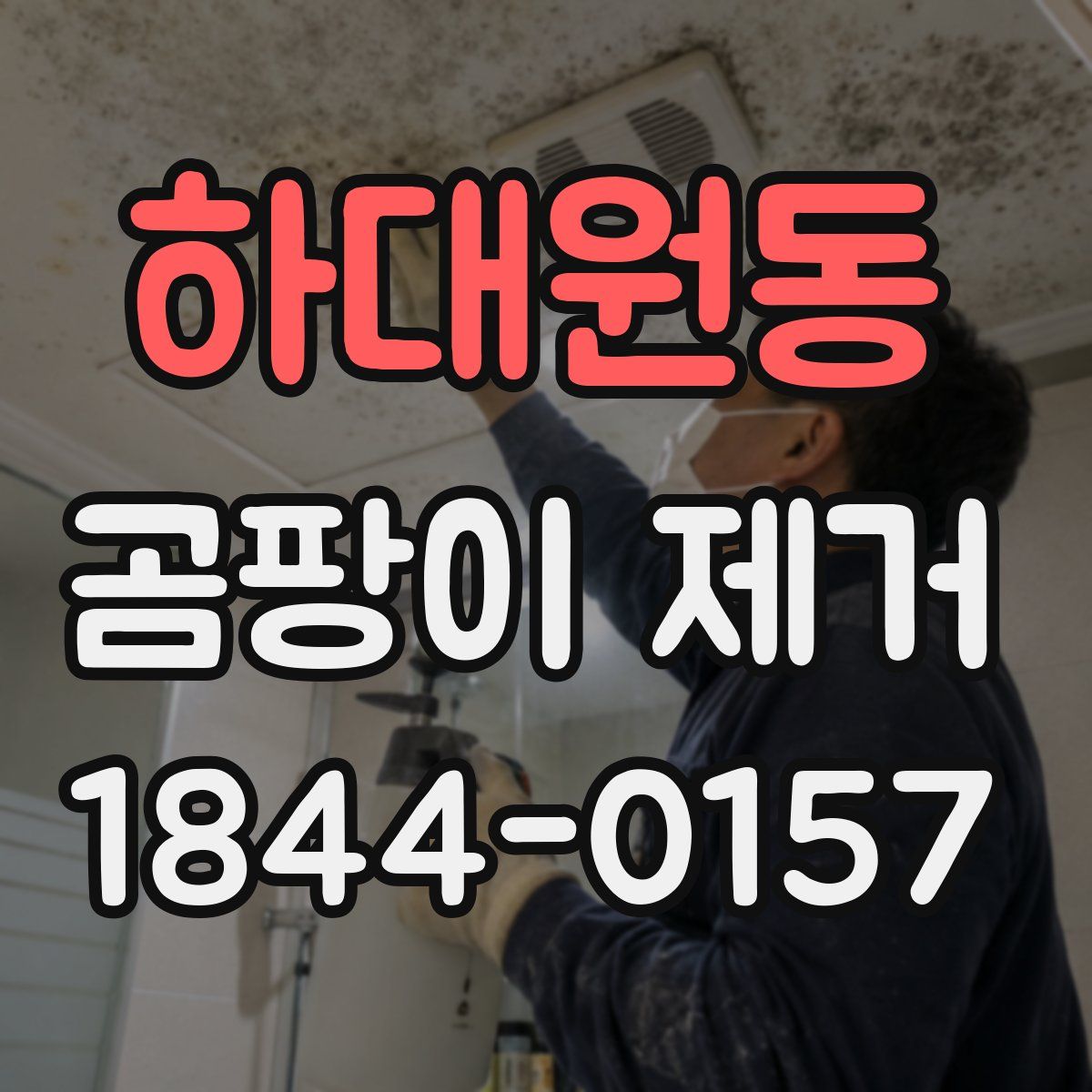 하대원동 곰팡이 제거
