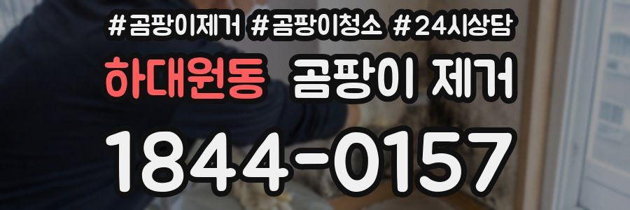 하대원동 곰팡이 제거