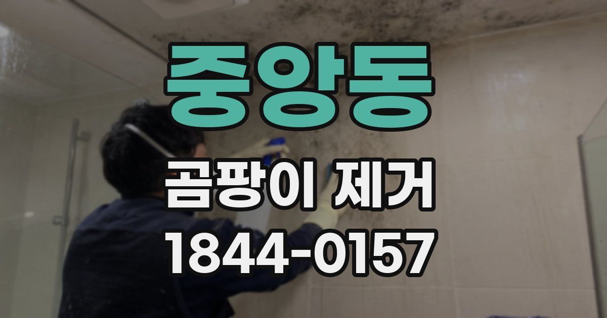 중앙동 곰팡이 제거