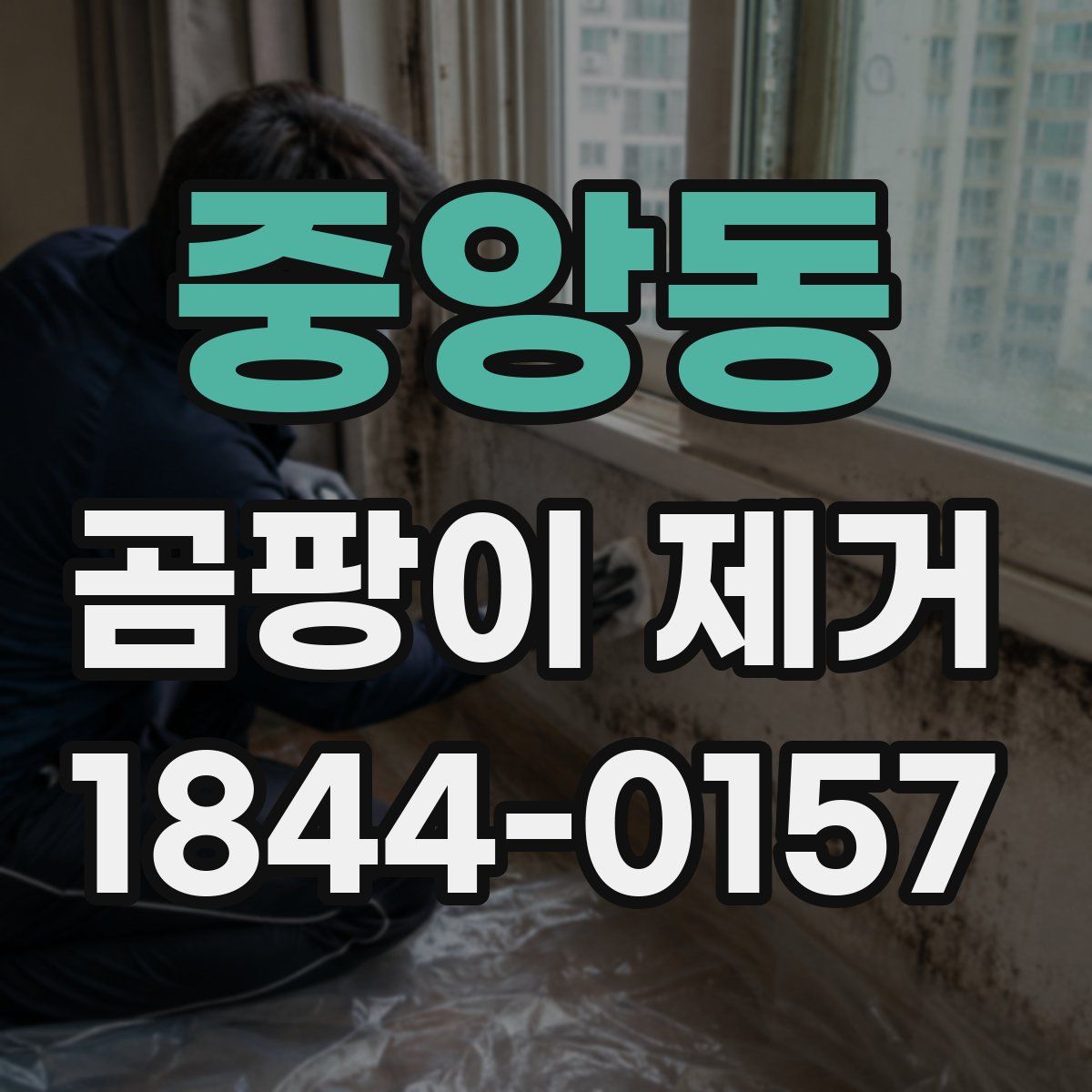 중앙동 곰팡이 제거