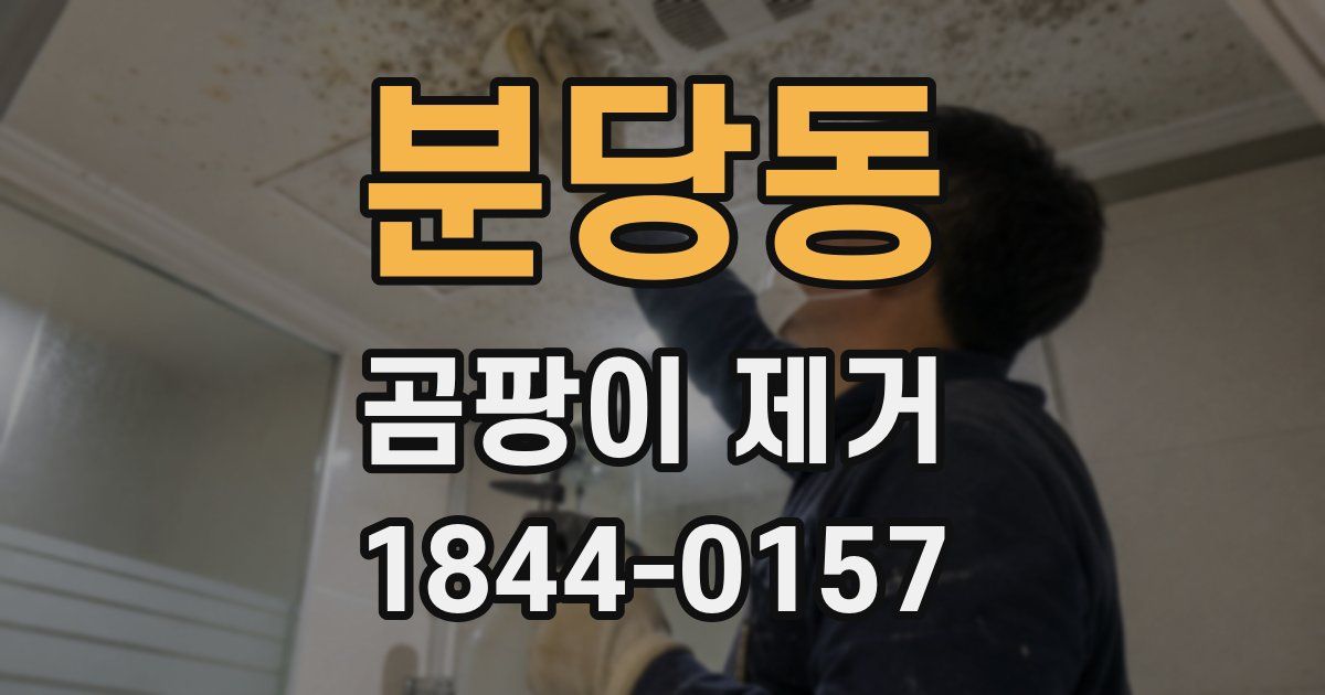 분당동 곰팡이 제거