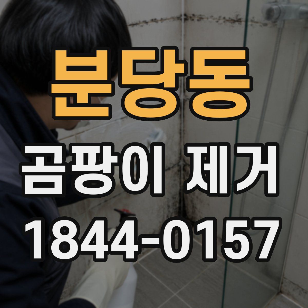 분당동 곰팡이 제거