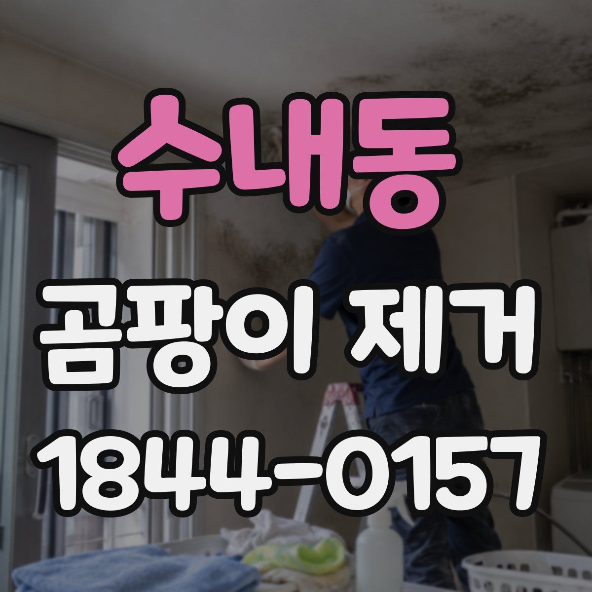 수내동 곰팡이 제거