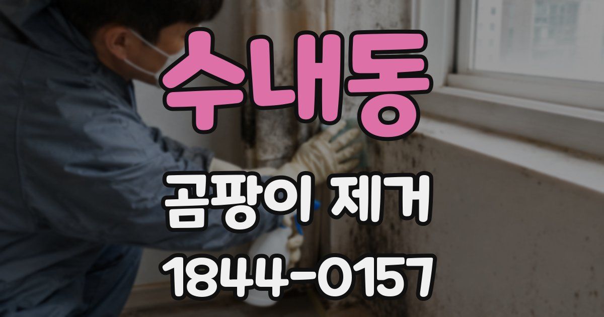 수내동 곰팡이 제거