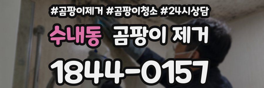 수내동 곰팡이 제거