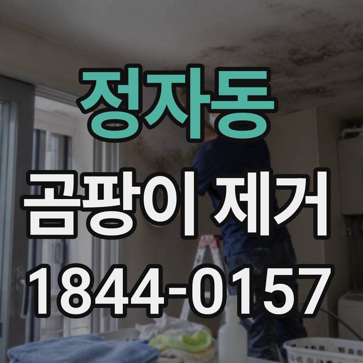 정자동 곰팡이 제거