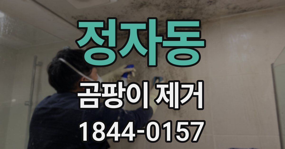 정자동 곰팡이 제거