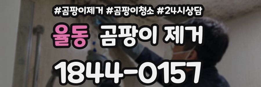 율동 곰팡이 제거