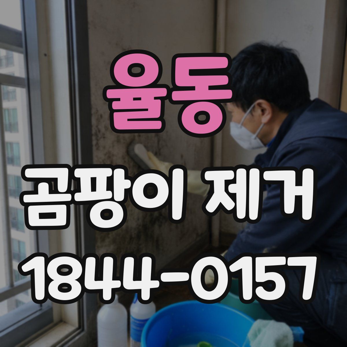 율동 곰팡이 제거