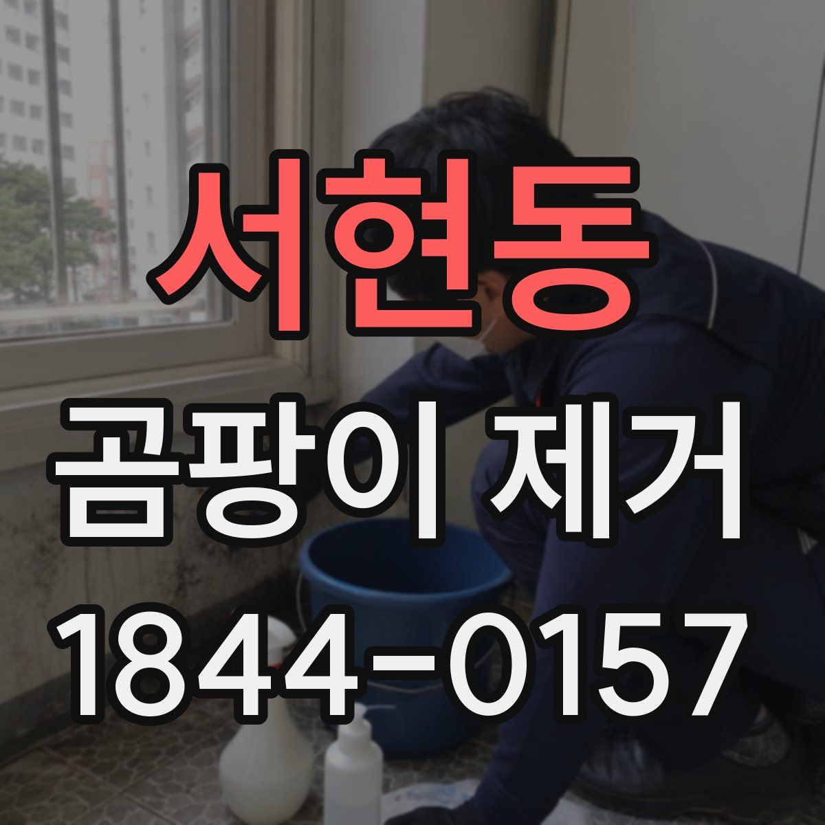 서현동 곰팡이 제거