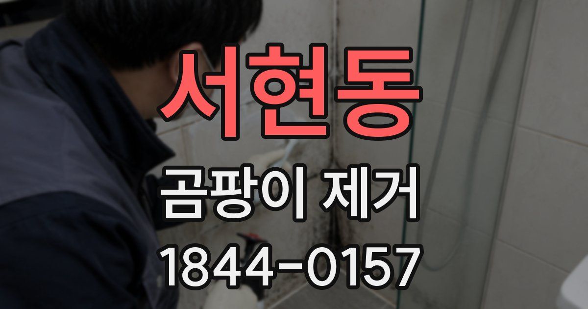 서현동 곰팡이 제거