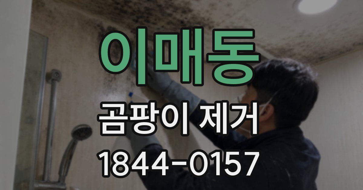 이매동 곰팡이 제거