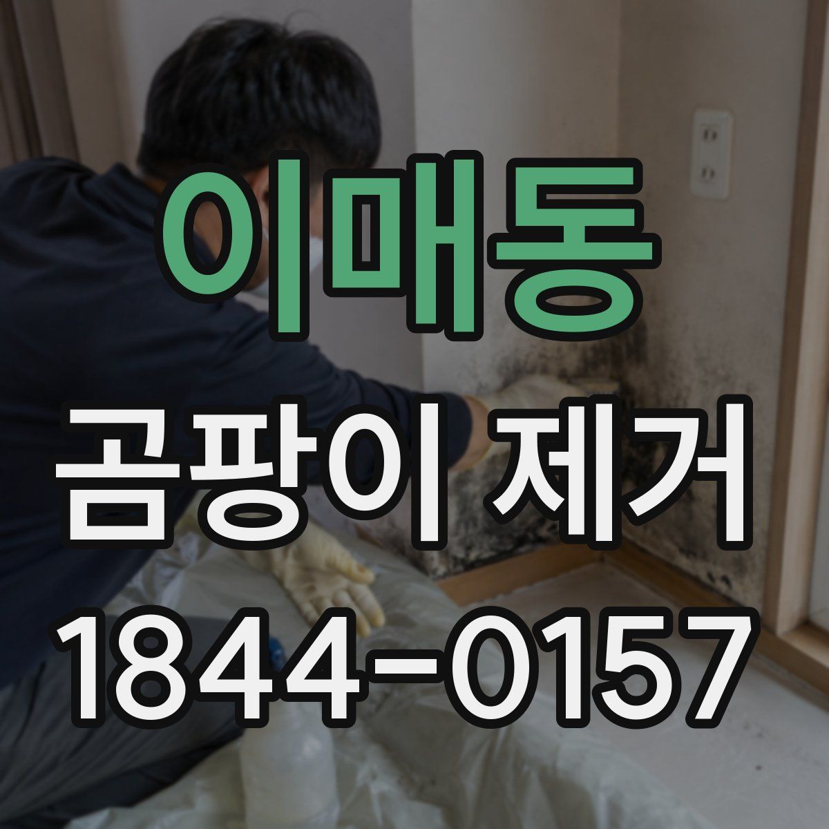 이매동 곰팡이 제거