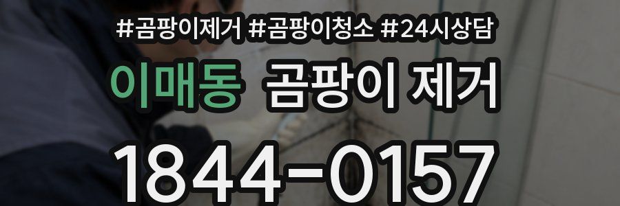 이매동 곰팡이 제거