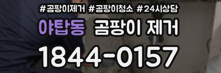 야탑동 곰팡이 제거