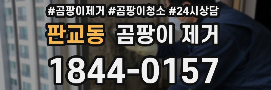 판교동 곰팡이 제거