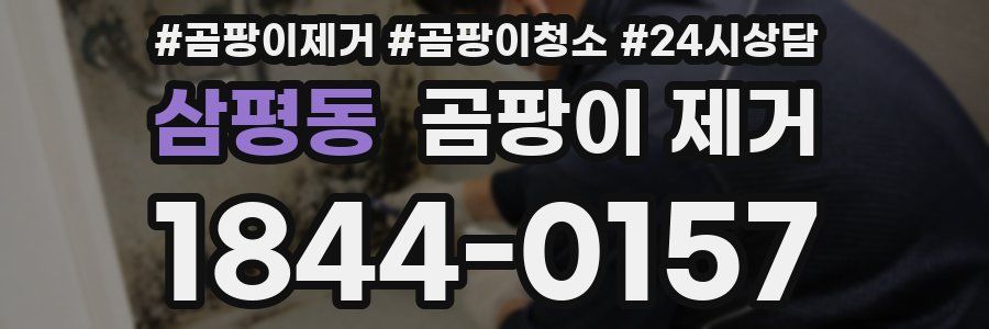 삼평동 곰팡이 제거