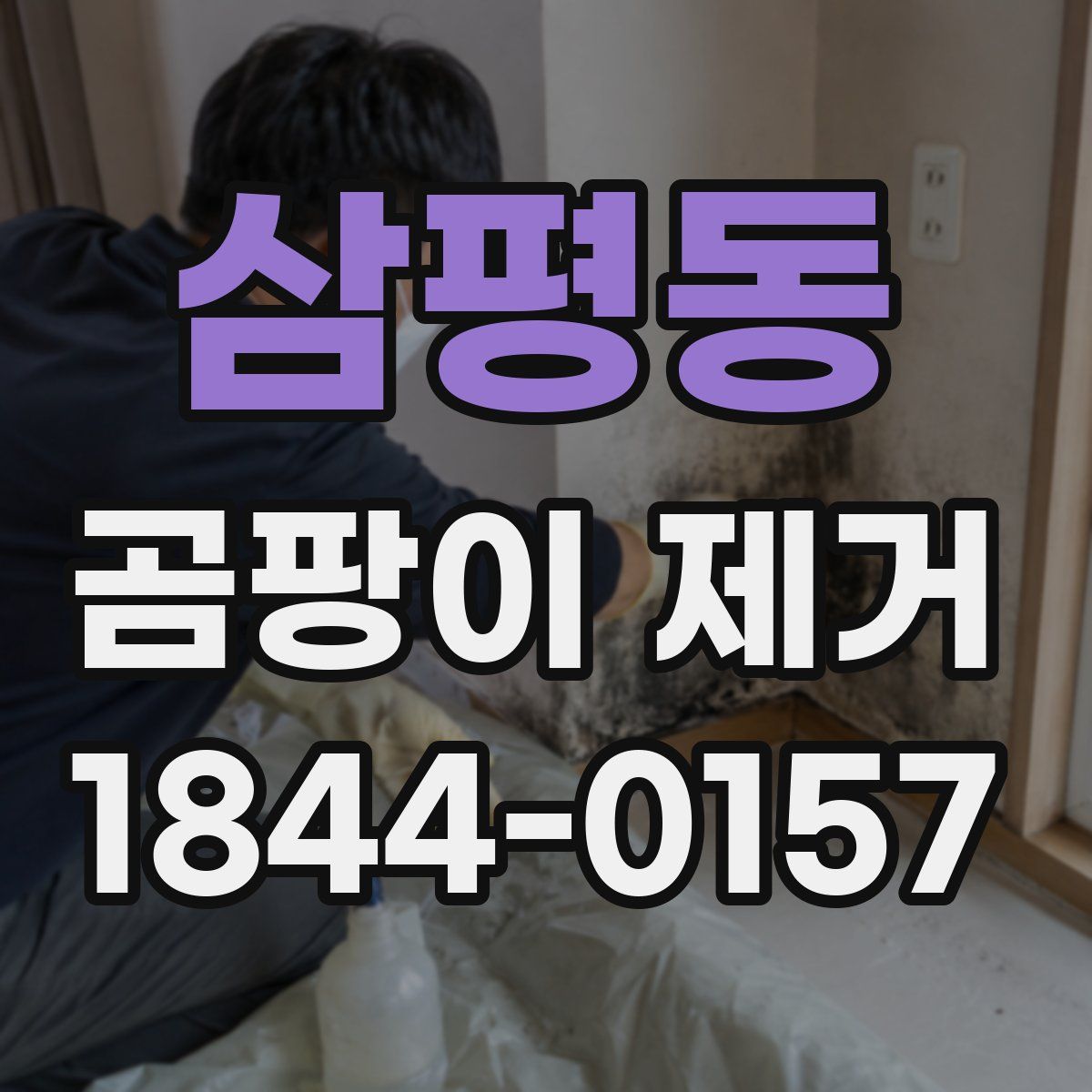 삼평동 곰팡이 제거