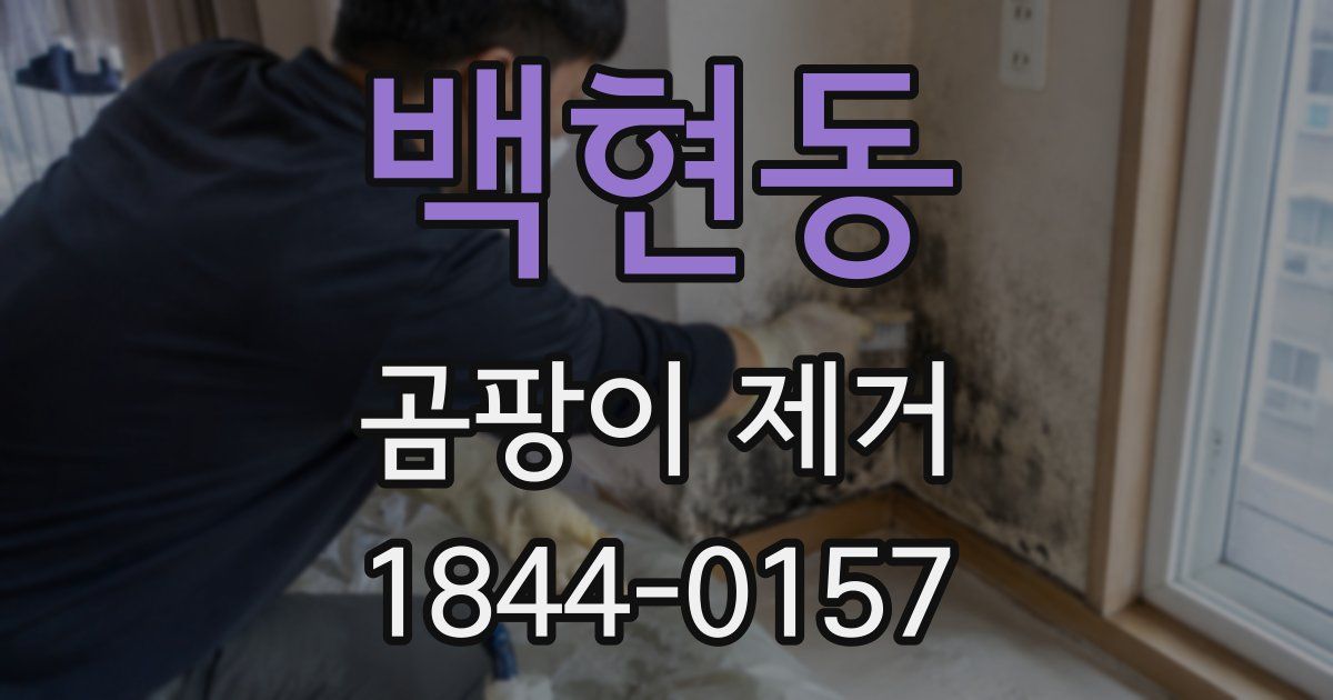 백현동 곰팡이 제거
