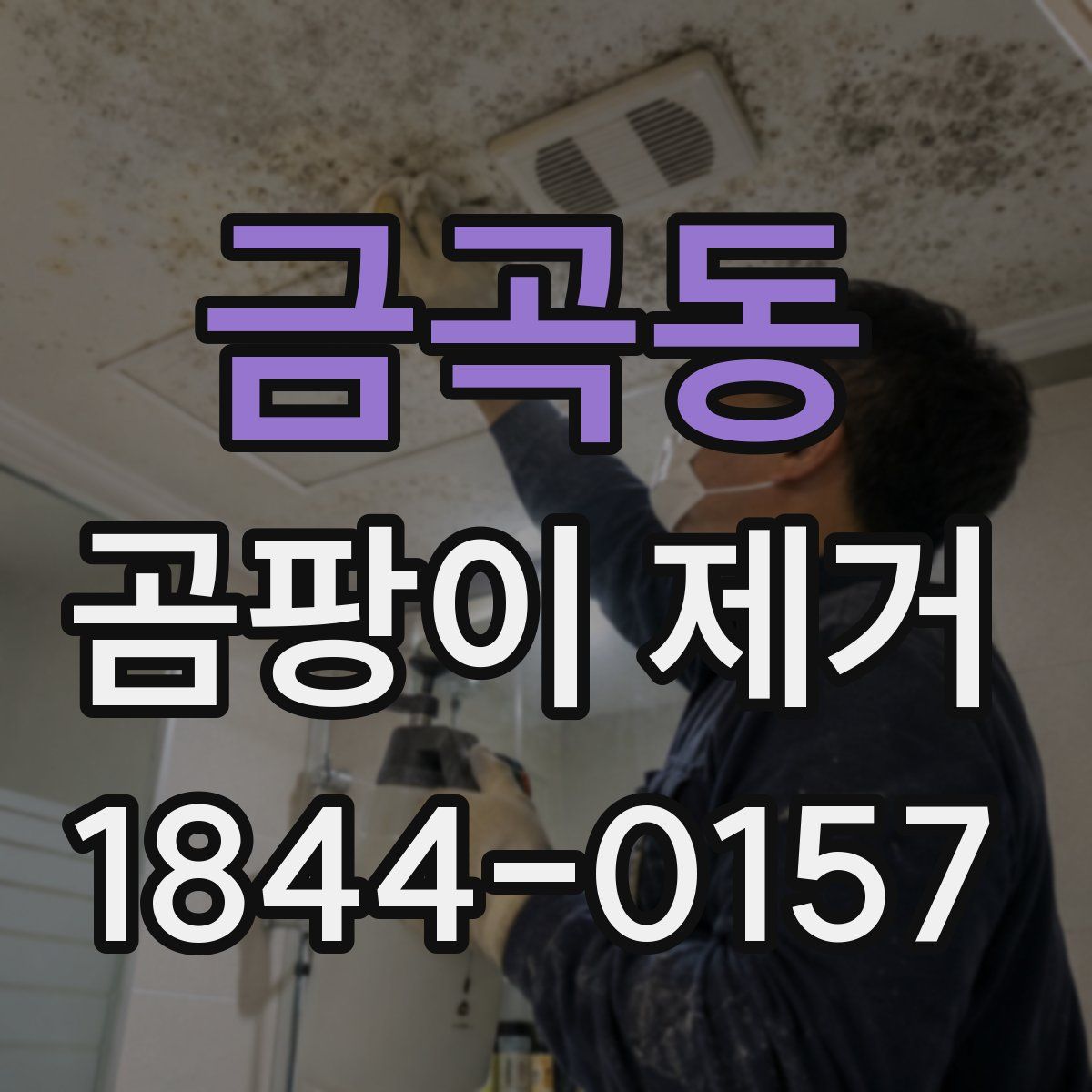 금곡동 곰팡이 제거