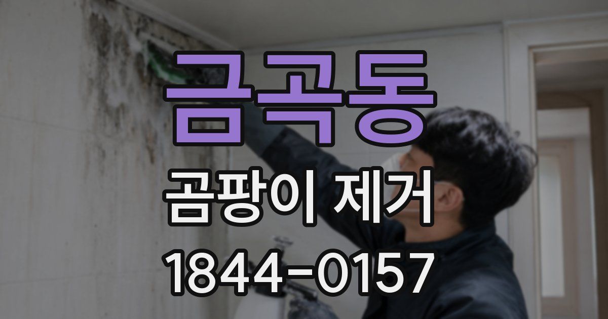 금곡동 곰팡이 제거