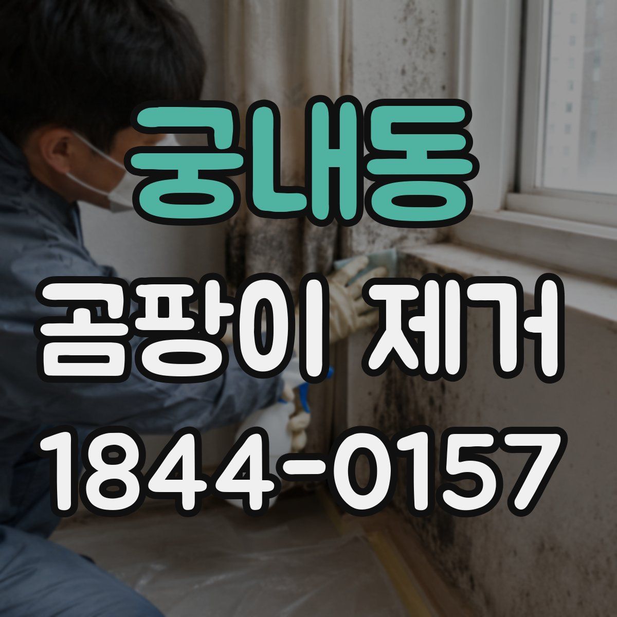 궁내동 곰팡이 제거