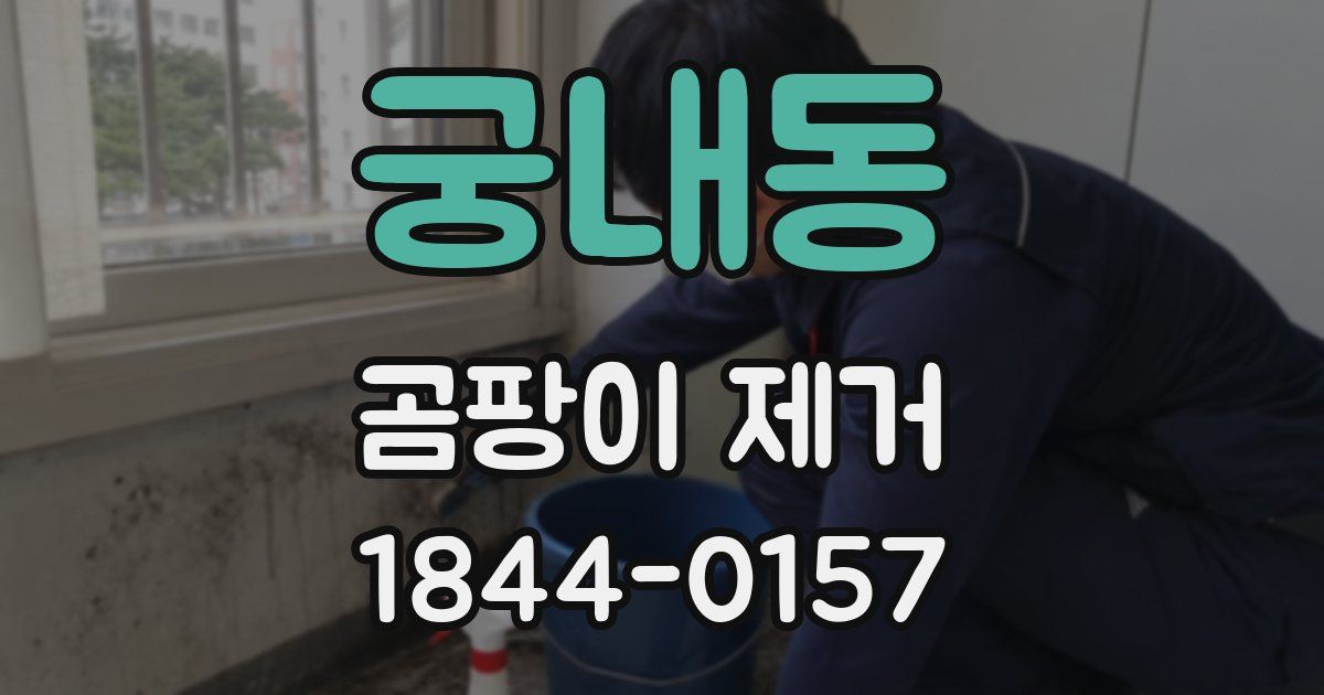 궁내동 곰팡이 제거