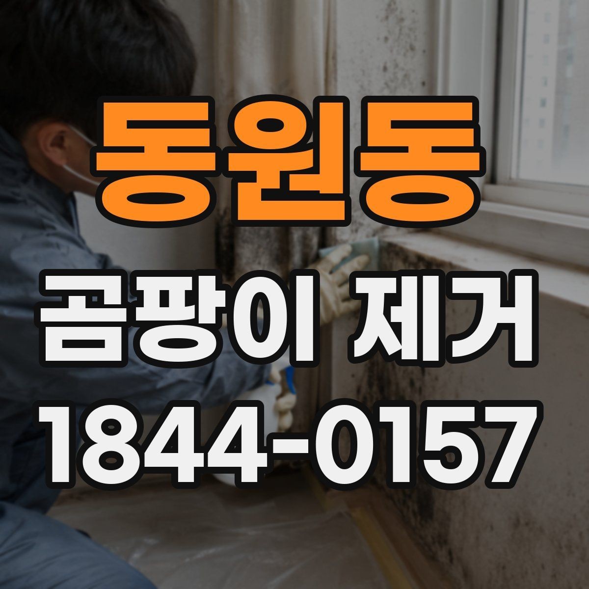 동원동 곰팡이 제거 창문 주변 결로 자국 대응 포인트