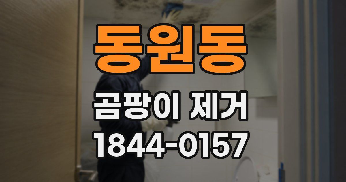 동원동 곰팡이 제거