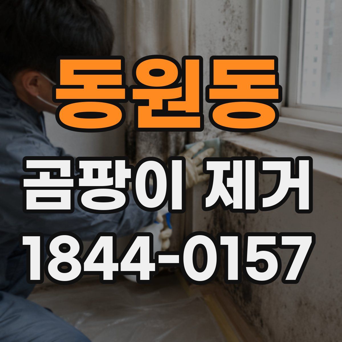 동원동 곰팡이 제거